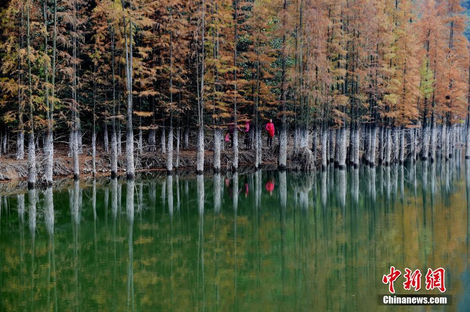 浙江义乌深山现江南版小九寨 景色醉人