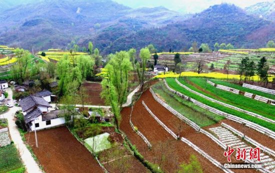 【甘肃陇南康县
/甘肃陇南康县天气预报15天查询】 【甘肃陇南康县
/甘肃陇南康县天气预报15天查询】