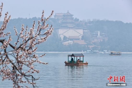 藏茶：茶马古道上的千年回响