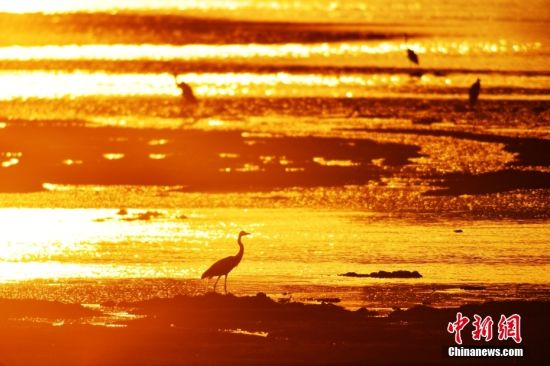 “天下第一泉”趵突泉水位达29.34米