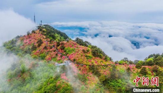 “五一”旅游氛围趋热，山东哪座城市将成顶流？