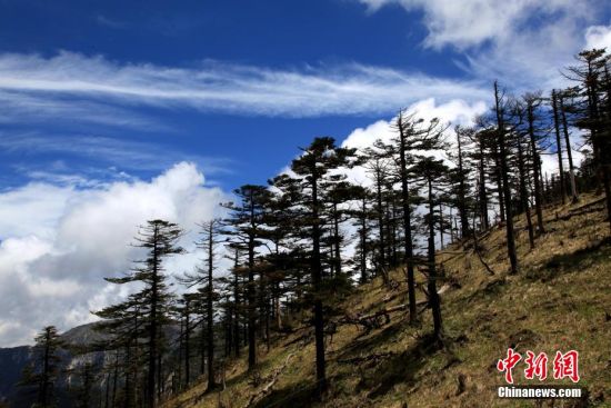 黑龙江省冰雪旅游发展促进会赴鲁推介