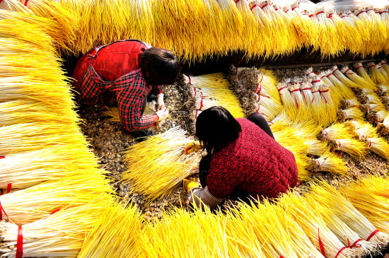 山东沂源:多彩产业扮靓农民冬闲增收