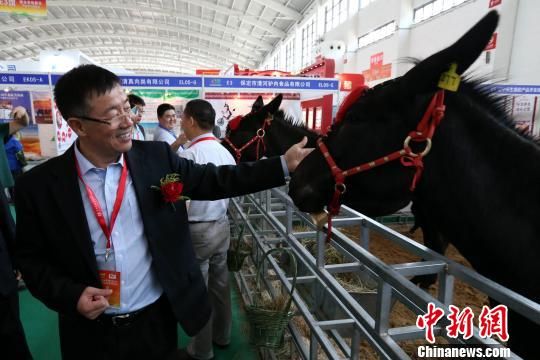 2016年中国国际畜牧业博览会在沈阳开幕