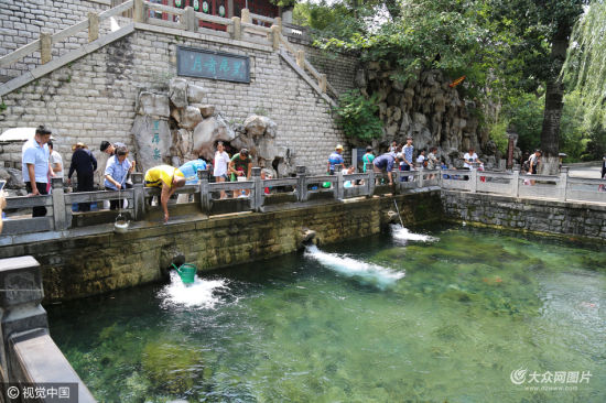 济南暴雨过后黑虎泉叫欢 取水点7月25日开放