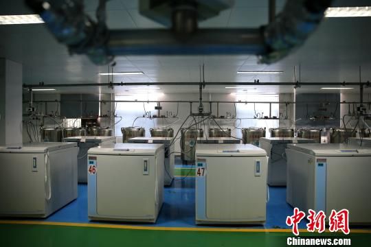 探秘山东省脐血库:揭秘存储过程 到底该不该存