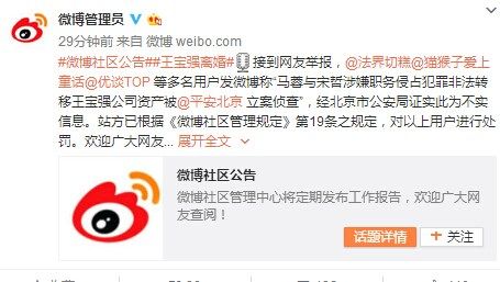 马蓉与宋哲涉嫌犯罪非法转移王宝强资产被立案