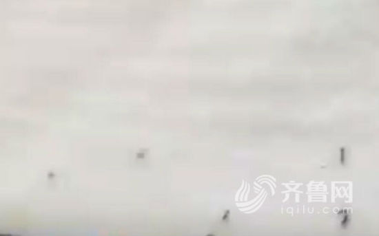 山东淄博男子住格林豪泰酒店 发现床上全是蚂