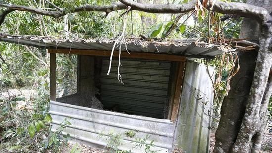 5岁女孩被妈妈调教成父亲泄欲对象 当性奴隶戴