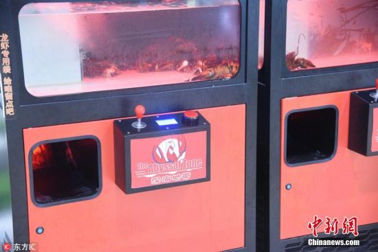 还在抓娃娃?OUT了!南京现抓龙虾机有胆来战