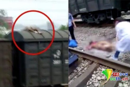 男子爬火车拍抖音被烧伤?知情人:为给顾客拍照片