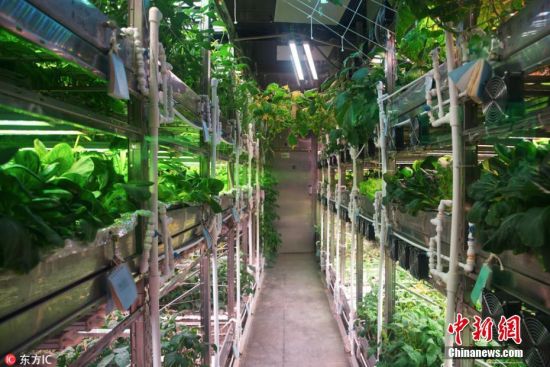 月宫一号完成370天闭合实验志愿者出舱 创世