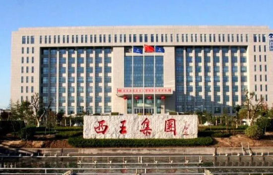 "玉米油大王"成被执行人 西王集团负债300亿