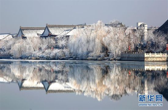 山东聊城:雾凇美景惹人醉