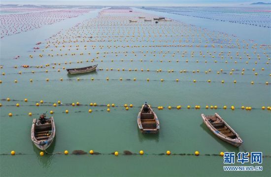 浮漂排行_浮漂销售情况一览(2020年6月)