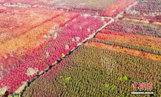 111գɽʡൺǧĶ־ȾͼΪǧĶ֡˻ƬŽ 