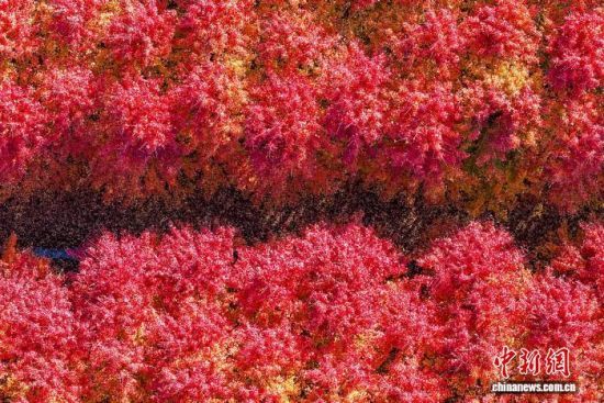 111գɽʡൺǧĶ־ȾͼΪǧĶ֡(˻Ƭ)Ž  