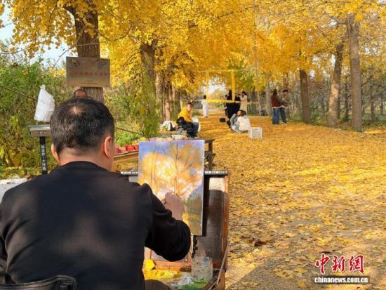 1114գɽ³Ľ̬԰Ũ˽л滭ͯһ   