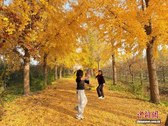 1114գɽ³Ľ̬԰Ũ档ͯһ   