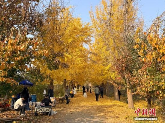 1114գɽ³Ľ̬԰Ṳ̃ͯһ  