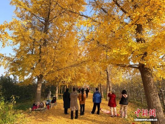 1114գɽ³Ľ̬԰Ṳ̃ͯһ   