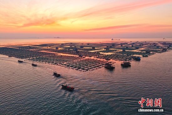 ͼ/CNSphoto ����̶ ��