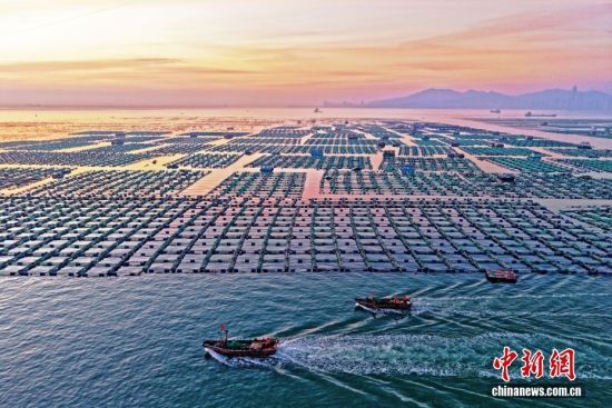 ͼ/CNSphoto ����̶ ��