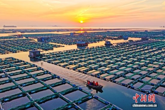 ͼ/CNSphoto ����̶ ��