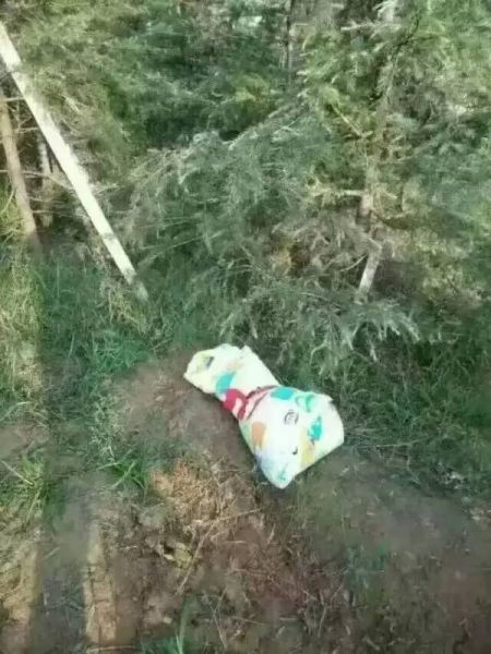聊城绿化带发现弃婴!大热天遭蚂蚁蚊虫叮咬