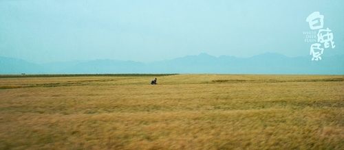 《白鹿原》"原"来如此正片组图 陕西风情嫽扎咧