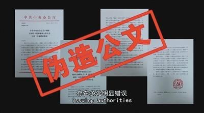 的这个文件,我们得到了美国以及其他国家的政府机关鉴定这是真实的