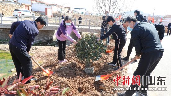 沂南縣2023年義務植樹活動植樹現場。王本強 攝