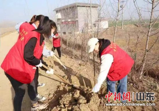 在棗莊臺兒莊區邳莊鎮，志愿者正在植樹。賈萌 攝