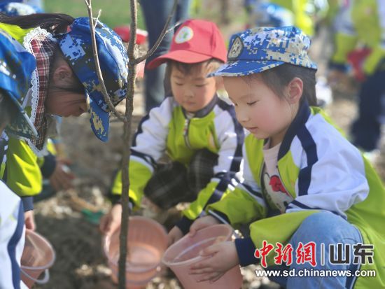 在泰安新泰市，幼兒園的小朋友們加入了植樹的隊伍。新泰市委宣傳部供圖