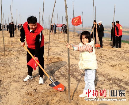 菏澤市成武縣志愿者參加義務植樹活動。張天峰 攝