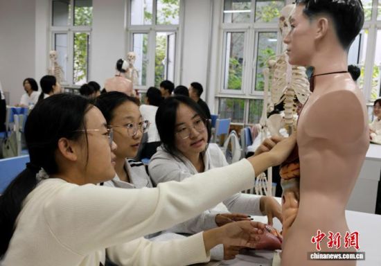 学生们在婴幼儿保育学课堂上拼接人体模型。赵晓 摄   学生们在婴幼儿保育学课堂上拼接人体模型。赵晓 摄