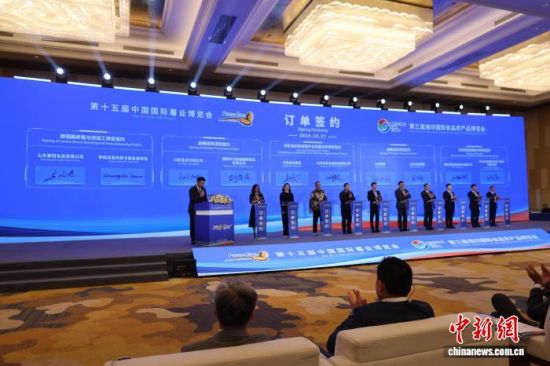 第十五届中国国际薯业博览会、第三届潍坊国际食品农产品博览会27日在潍坊开幕。孙婷婷 摄 第十五届中国国际薯业博览会、第三届潍坊国际食品农产品博览会27日在潍坊开幕。孙婷婷 摄