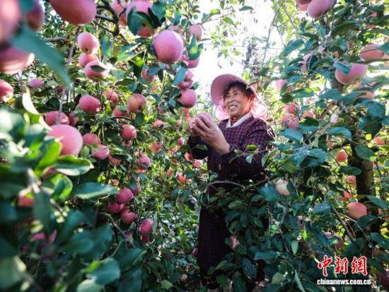 ʱڣɽʡٳΰɽҼɭֹ԰һƻ԰ũæŲաּƻһɷæͼƻҵֹģչ׼еҵص㣬ƻ⡣ž 