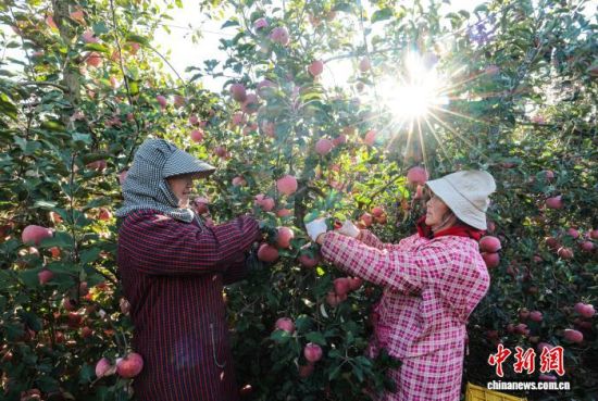 ʱڣɽʡٳΰɽҼɭֹ԰һƻ԰ũæŲաּƻһɷæͼƻҵֹģչ׼еҵص㣬ƻ⡣ž 