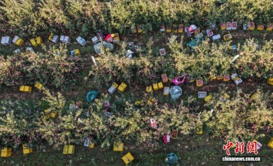 ʱڣɽʡٳΰɽҼɭֹ԰һƻ԰ũæŲաּƻһɷæͼƻҵֹģչ׼еҵص㣬ƻ⡣ž 