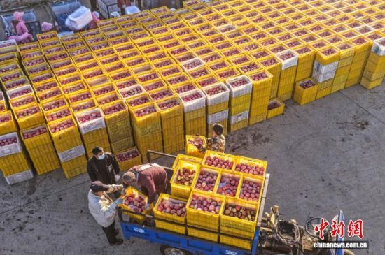 ʱڣɽʡٳΰɽҼɭֹ԰һƻ԰ũæŲաּƻһɷæͼƻҵֹģչ׼еҵص㣬ƻ⡣ž 