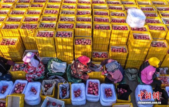 ʱڣɽʡٳΰɽҼɭֹ԰һƻ԰ũæŲաּƻһɷæͼƻҵֹģչ׼еҵص㣬ƻ⡣ž 