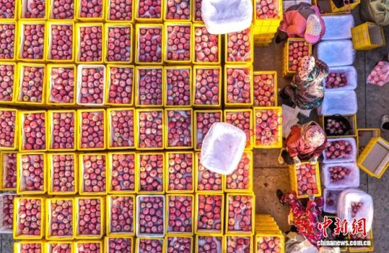 ʱڣɽʡٳΰɽҼɭֹ԰һƻ԰ũæŲաּƻһɷæͼƻҵֹģչ׼еҵص㣬ƻ⡣ž 