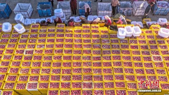 ʱڣɽʡٳΰɽҼɭֹ԰һƻ԰ũæŲաּƻһɷæͼƻҵֹģչ׼еҵص㣬ƻ⡣ž 