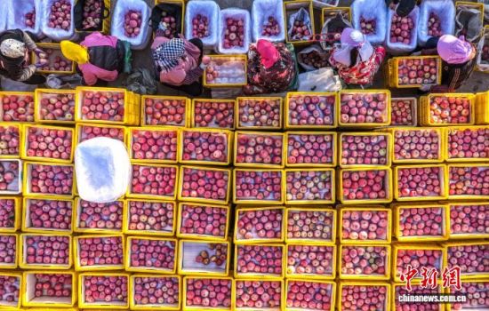 ʱڣɽʡٳΰɽҼɭֹ԰һƻ԰ũæŲաּƻһɷæͼƻҵֹģչ׼еҵص㣬ƻ⡣ž 