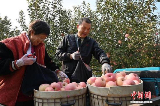 1029գйƻ֮ɽ̨ϼеĹ԰ͮͮƻ׺֦ͷũæŲժּװƻ10Ѯйƻ̨ϼӭһ۵Ĳռƻ½ڡĿǰϼƻﵽ100Ķ60Һ͵ճ 