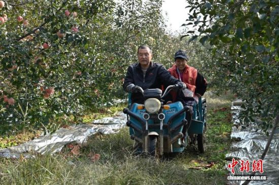 1029գйƻ֮ɽ̨ϼеĹ԰ͮͮƻ׺֦ͷũæŲժּװƻ10Ѯйƻ̨ϼӭһ۵Ĳռƻ½ڡĿǰϼƻﵽ100Ķ60Һ͵ճ 