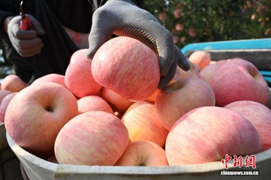 1029գйƻ֮ɽ̨ϼеĹ԰ͮͮƻ׺֦ͷũæŲժּװƻ10Ѯйƻ̨ϼӭһ۵Ĳռƻ½ڡĿǰϼƻﵽ100Ķ60Һ͵ճ 