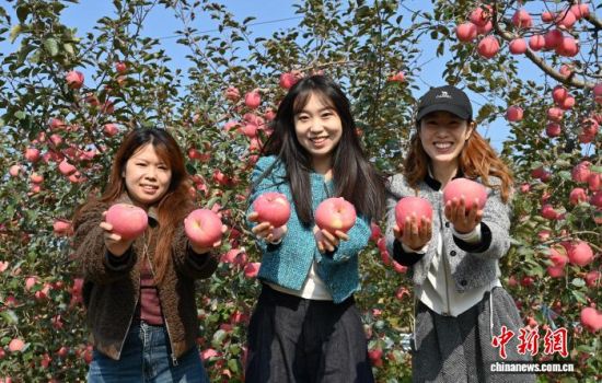 1029գйƻ֮ɽ̨ϼеĹ԰ͮͮƻ׺֦ͷũæŲժּװƻ10Ѯйƻ̨ϼӭһ۵Ĳռƻ½ڡĿǰϼƻﵽ100Ķ60Һ͵ճ 