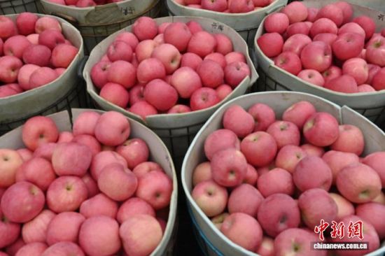 1029գйƻ֮ɽ̨ϼеĹ԰ͮͮƻ׺֦ͷũæŲժּװƻ10Ѯйƻ̨ϼӭһ۵Ĳռƻ½ڡĿǰϼƻﵽ100Ķ60Һ͵ճ 